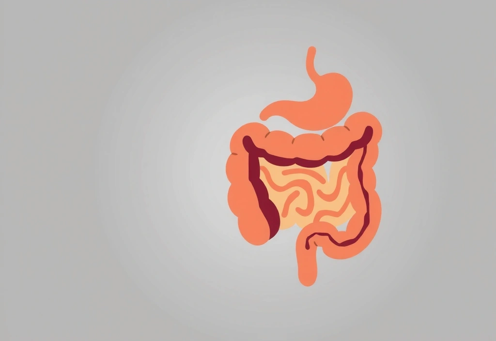 Μια αφηρημένη απεικόνιση του πεπτικού συστήματος με έμφαση στο έντερο, που συμβολίζει την απορρόφηση θρεπτικών ουσιών.