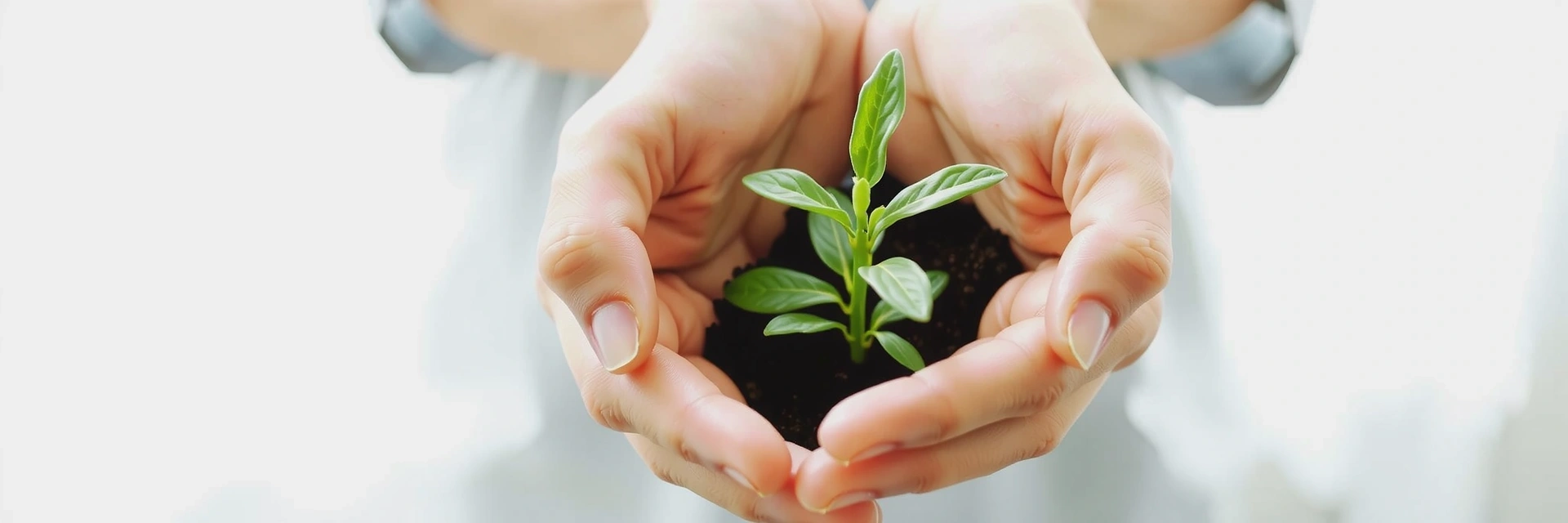 Minimalist image of hands gently holding a plant sprout, symbolizing growth, natural health, and care.